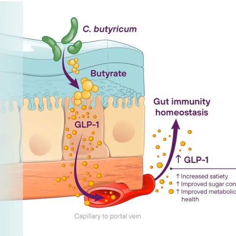 Butyricum